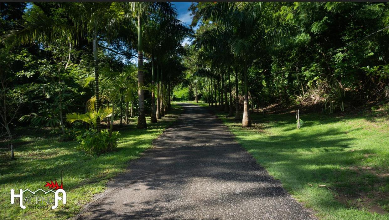 Hacienda Tres Casitas Guest House Cabo Rojo Bagian luar foto